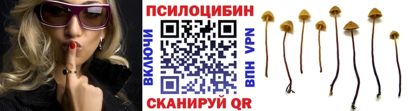 ОМГ ОМГ tor  Сатка  Галлюциногенные грибы Psilocybine cubensis 